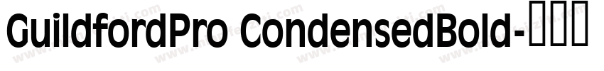 GuildfordPro CondensedBold字体转换